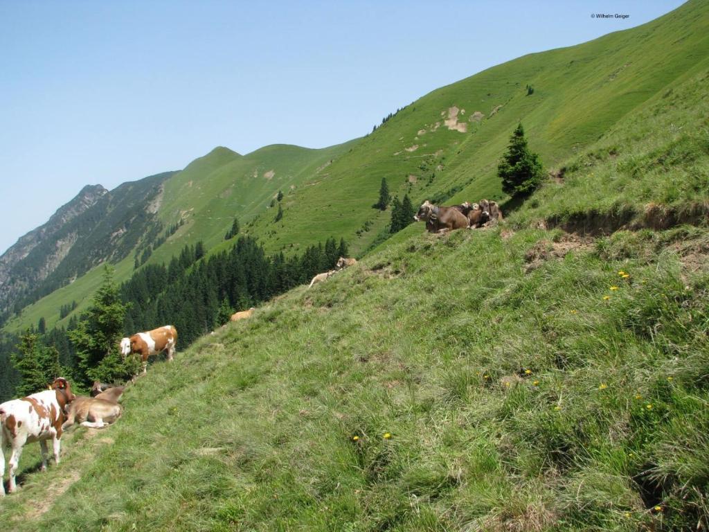 Mountain Hostel Oberstdorf Exterior photo